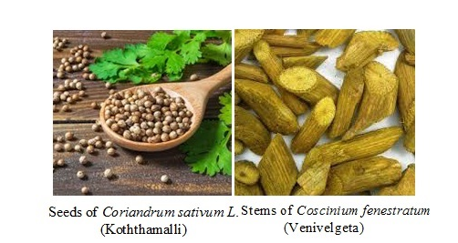 Scientific validation of the potent anti-inflammatory and immunostimulatory activity of the concoction of Corriandrum sativum (Koththamalli) and Cosnium fenetratum (Venivelgeta), a traditional Sri Lankan home remedy