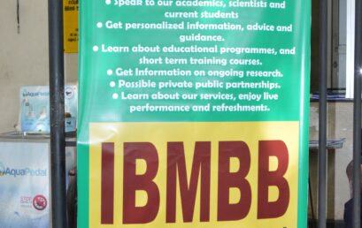 Exploring the Wonders of IBMBB’s Open Day Event  in 2023