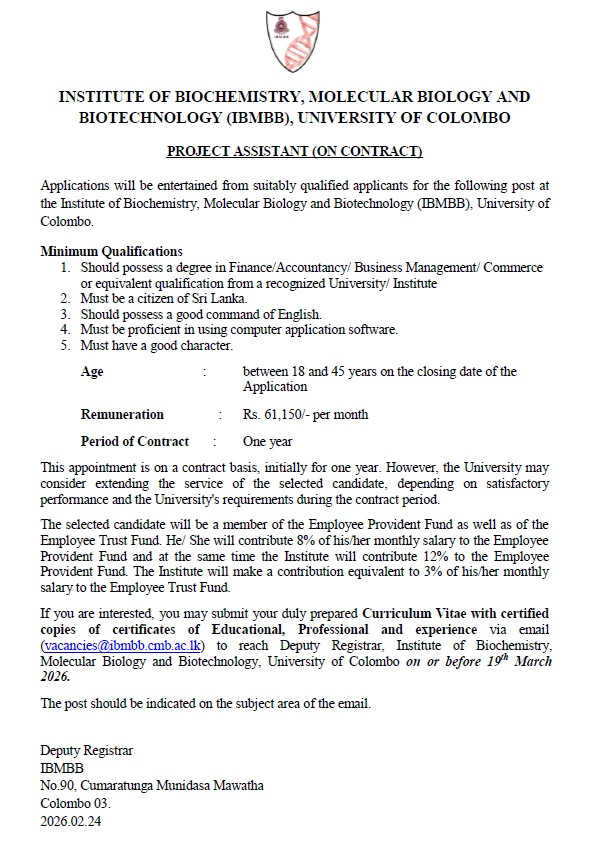 PROJECT ASSISTANT (ON CONTRACT)