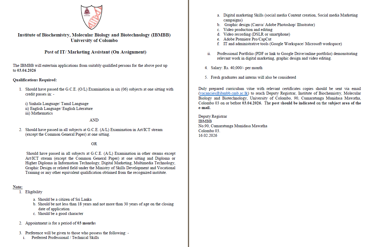 Post of IT/ Marketing Assistant (On Assignment)