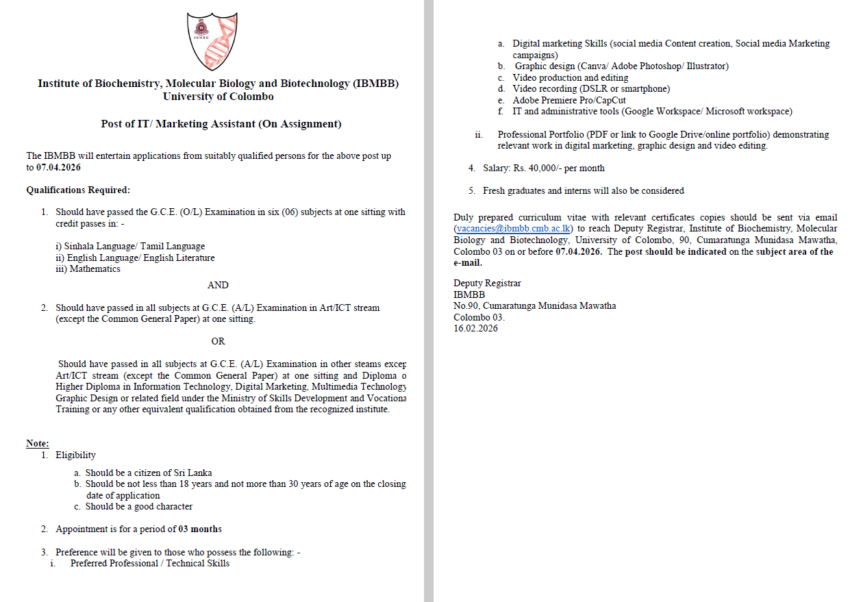 Post of IT/ Marketing Assistant (On Assignment)