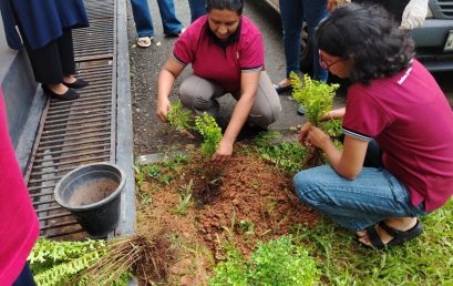 Commemorating World Environment Day 2026 at IBMBB